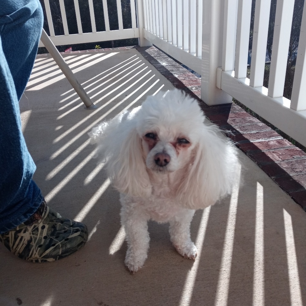 Meet your Posher, Becca